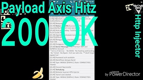Payload Axis hitz 200 OK