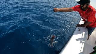 Jigging in the beautiful island nation of Maldives