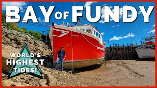 Bay Of Fundy Tides Are Incredible Where To See Worlds Highest Tides Newstates, Eh? Ep. 10
