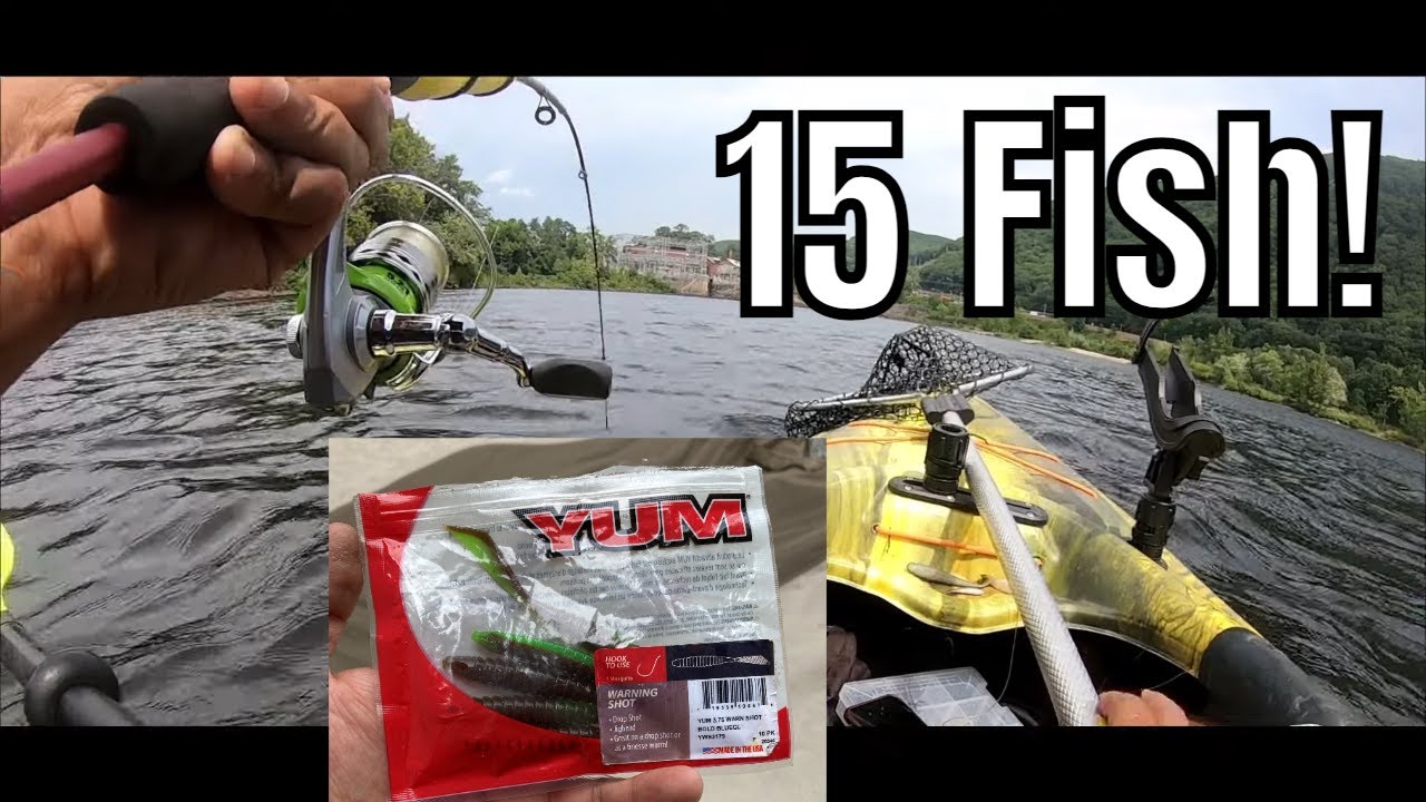 I Tried a New Bait and Rig - Huge Results! - Yum! Warning Shot