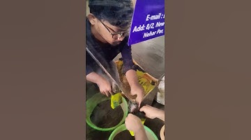 Automatic weight filler packing machine