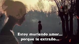 Video thumbnail of "Luis Miguel "Te Extraño " letra"