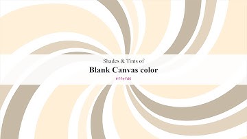Shades & Tints of Blank Canvas color #ffefd6 A Warm Yellow color #e2d4be #c6b9a6 #fff0da #fff2df