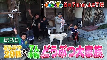 【公式】8月7日(金)「坂上どうぶつ王国」予告