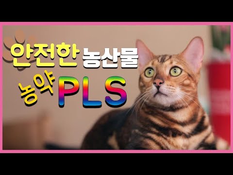안전한 농산물을 책임지는 &amp;#39;농약 <strong>PLS</strong>&amp;#39;