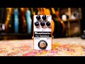 We like this a LOT - Mozztronics TW-1 ToneWrack