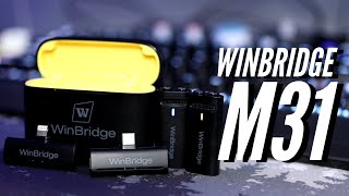 WinBridge M31 Wireless Lav Review — Perfect for Couple Vlogs?