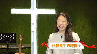 7 生命培訓學院 Youtube