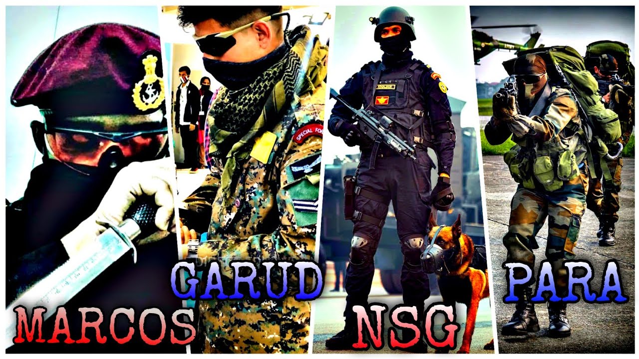 para-sf-x-garud-x-marcos-x-nsg-shorts-para-garuda-marcos-nsg
