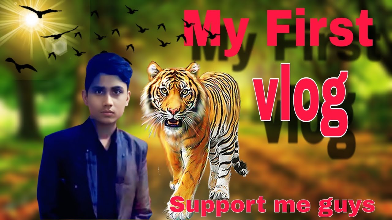 My First vlog #My first vlog on YouTube ##myfirstvlog - YouTube