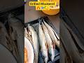 Grilled Mackerel 🔥🐟🍋 #grilledfish #mackerel #bbq2. #grill #fishrecipe #shorts3