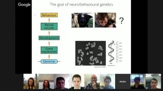 Celebrity OpenWorm Journal Club: Body Language of a Worm Profile