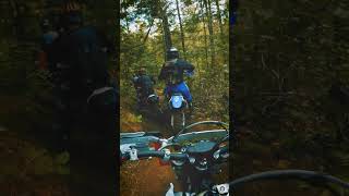 Roots Of Doom - VIHSS Harescramble Series - Whiskey Creek