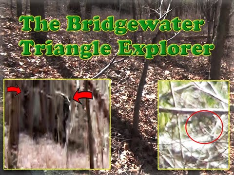 Bridgewater Triangle: Dogman Part 1 (04/07/20)