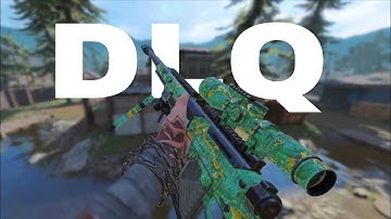 DLQ 33 + Smooth Aim = Pure Satisfaction 🔥