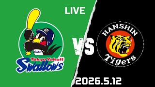 ヤクルトスワローズ対阪神タイガースの試合（本日2026年5月12日