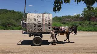 Carreta en Oaxaca