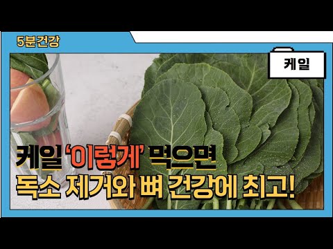 케일의 놀라운 효능과 주의점 (고르는법, 손질법, 보관법 포함)