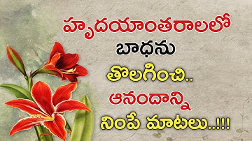 Telugu Wonderful Motivational Quotes || Nithya Satyalu || Suktulu || Jivitha Satyalu