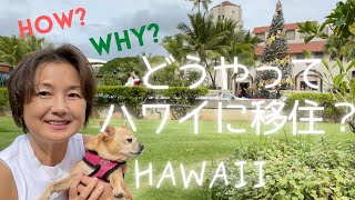 【ハワイ移住】なぜハワイに住めているか？【自己紹介】仕事とYouTubeをする本当の理由