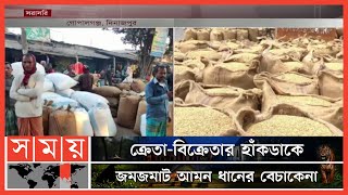 দিনাজপুরে আমনের ভালো দামে খুশি কৃষক | Amon Rice | Dinajpur News | Somoy TV