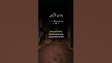 آية الكرسي 🤍🤍  #اية_الكرسي #قران_كريم #قرآن #تلاوة_خاشعة #تلاوة_هادئة #تلاوات