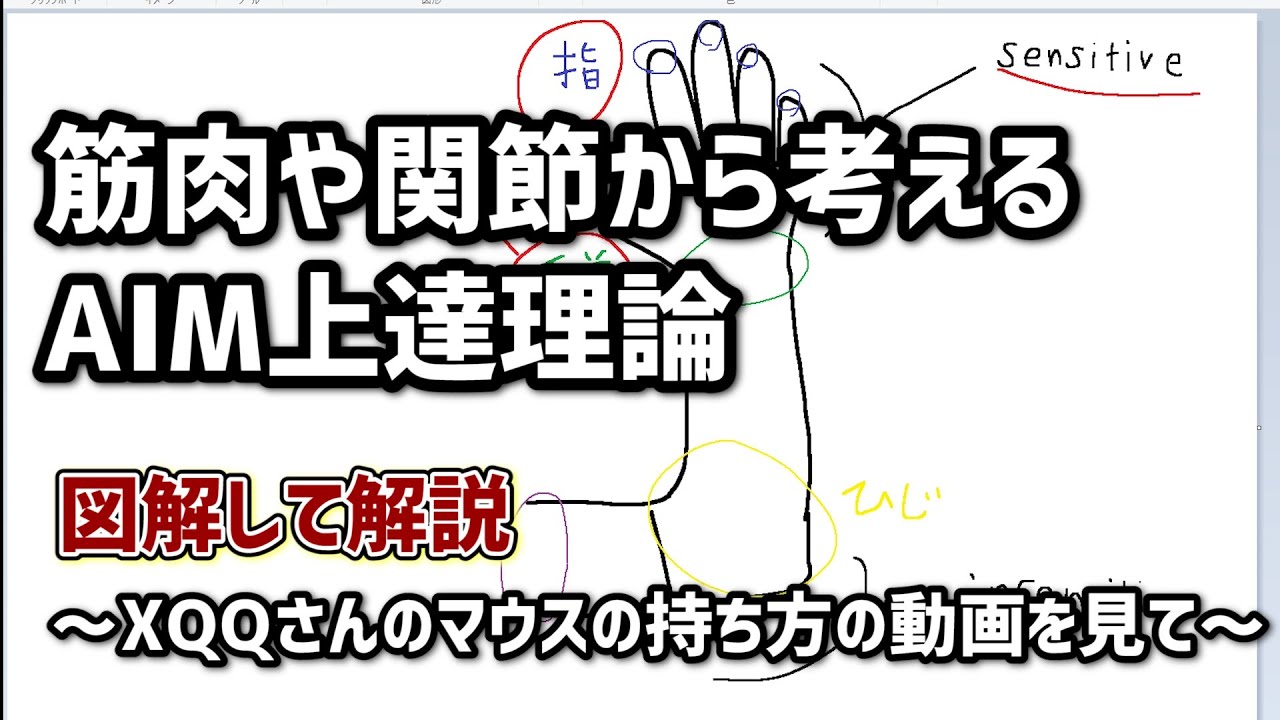 超図解 Aimが良い人とそうでない人の手の感覚の違い をマウスを持つときの腕の関節に着目して解説してみた エイム に使う筋肉の鍛え方 初心者にオススメの感度 練習する際に気を付ける点etc Youtube