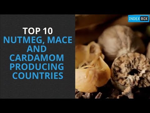 mace cardamom nutmeg