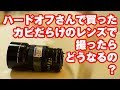 カビだらけのレンズで撮るとどうなるの？ジャンクで1000円で買ってきたCANON FD 200mm F2.8の実力！