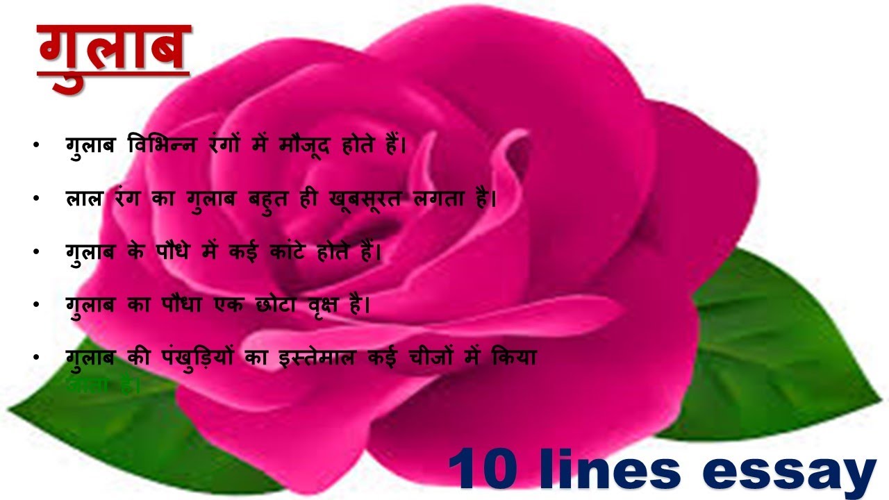 Rose Flower Essay In 10 Lines