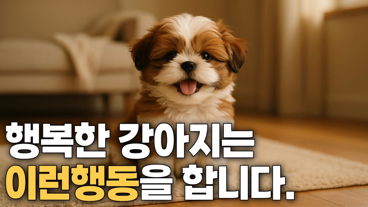 행복한 강아지가 하는 10가지 행동