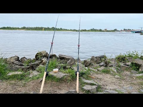 Видео: Рыбалка на наживку, ловля леща на фидеры 2024