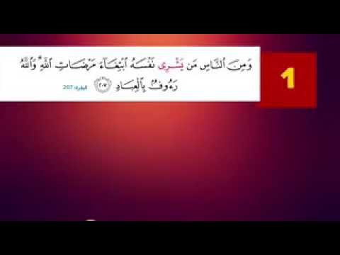 بعض أيات القرأن يفهمها أغلب الناس بشكل خاطىء