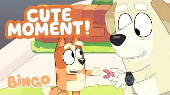 Bingo Learns a Fun Trick! ⭐️ 😯 | Bluey Show and Tell 🧡 | Bingo - Official Channel