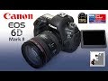 CANON 6D MK II   |   Отличный баланс