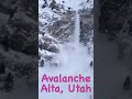 Avalanche at Alta, Utah
