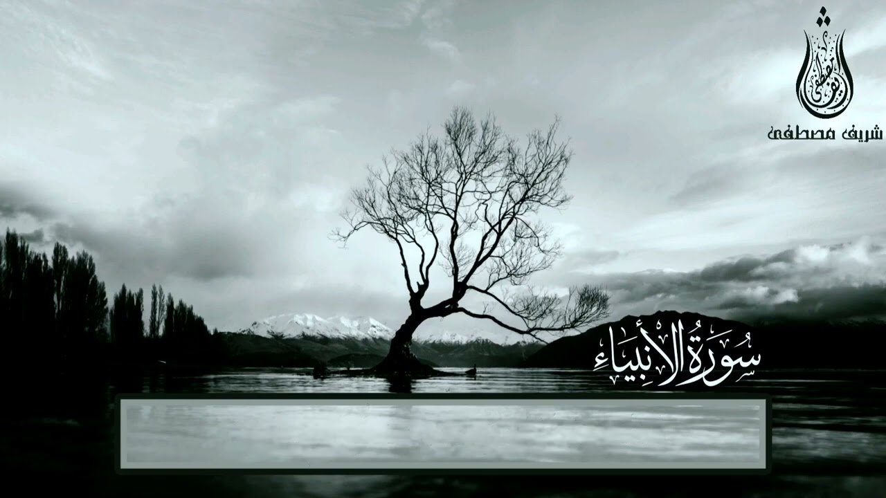 الأنبياء شريف مصطفى 5 ساعات