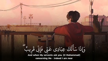 قرآن كريم بصوت عبيدة موفق الكردي| حالات واتس اب دينية 💜🌿