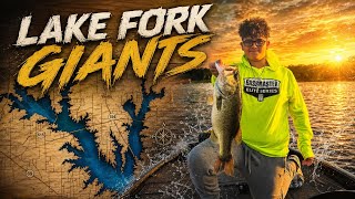 Scoping Til I Die!!! Big Bass!!! Lake Fork
