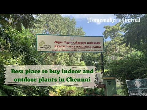 government horticulture farm | madhavaram government nursery | best place to buy plants in chennai