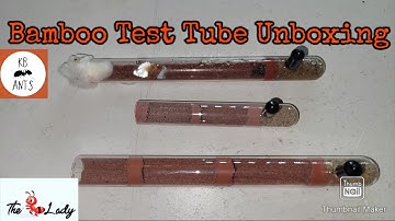 Bamboo Test Tube Review/Unboxing