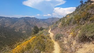 Pacific Crest Trail Thru Hike Episode 18 - Cheese Dogs and Miles