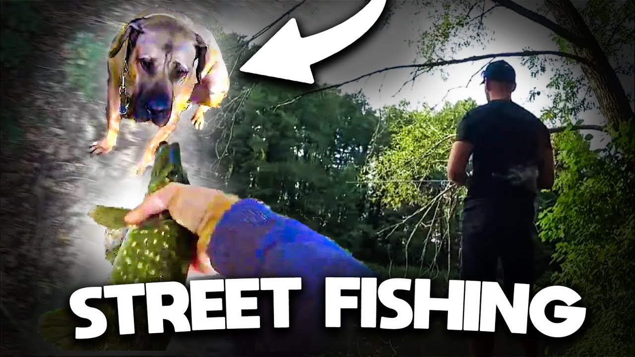 TUSZOL I MIRA NA RYBACH *IRL*