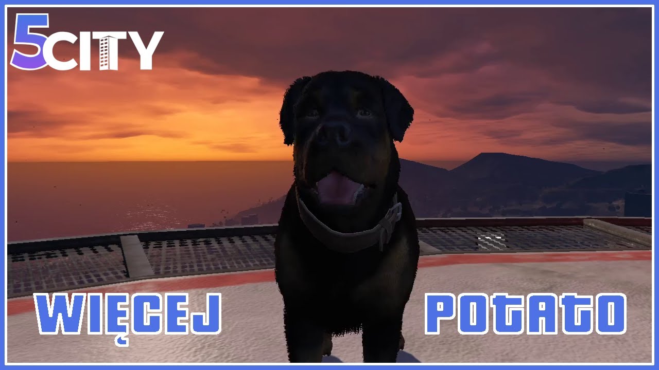 WIĘCEJ POTATO [5CITY]