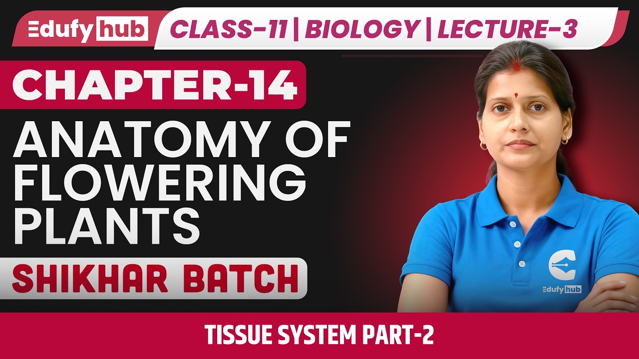 Tissue System Part-2 🌿 | Anatomy of Flowering Plants | Class 11 Botany Lecture-3 | EdufyHub LIVE