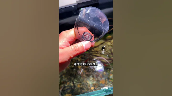 魚缸投食管，讓小魚定點吃飯魚糧不再滿缸亂飛~這次產品改進有點多啊！ - 天天要聞