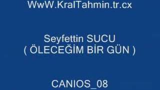 Seyfettin SUCU ( Öleceğim bir gün ) Resimi