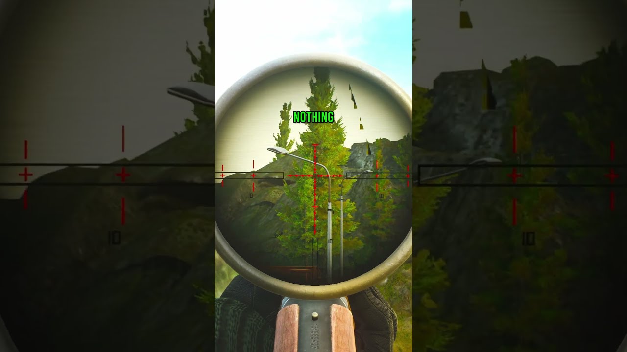 Snipe Of The Week 2