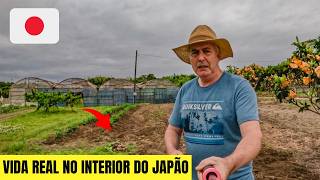 ROTINA NA ROÇA DO JAPÃO