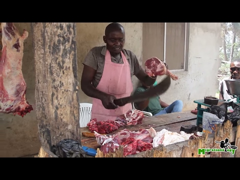 Nyama Choma: Tanzanian Roasted Goat - African Street Food!